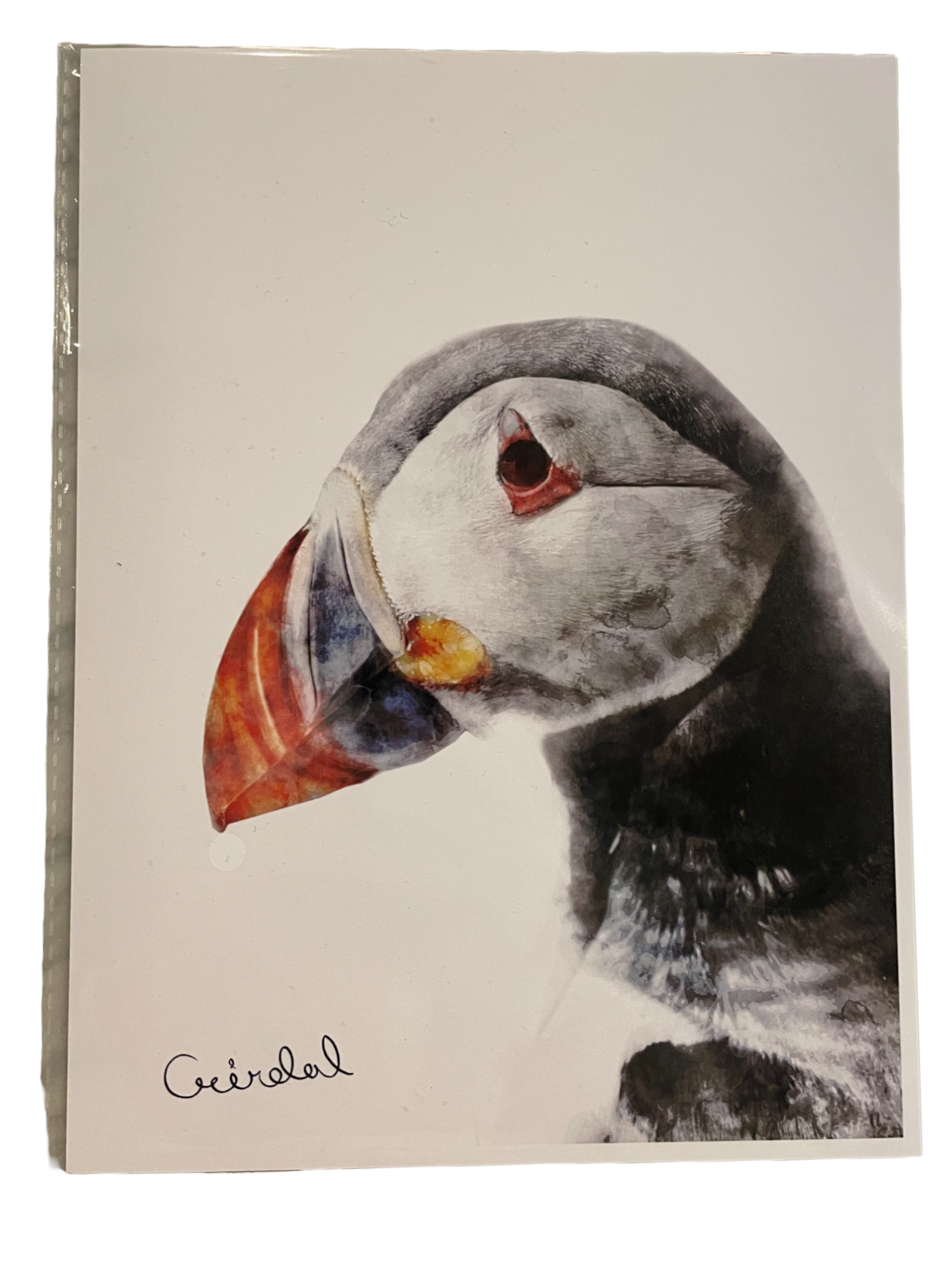 Digital Print with Icelandic Fauna by Kukla Digital Print with Icelandic Fauna by Kukla